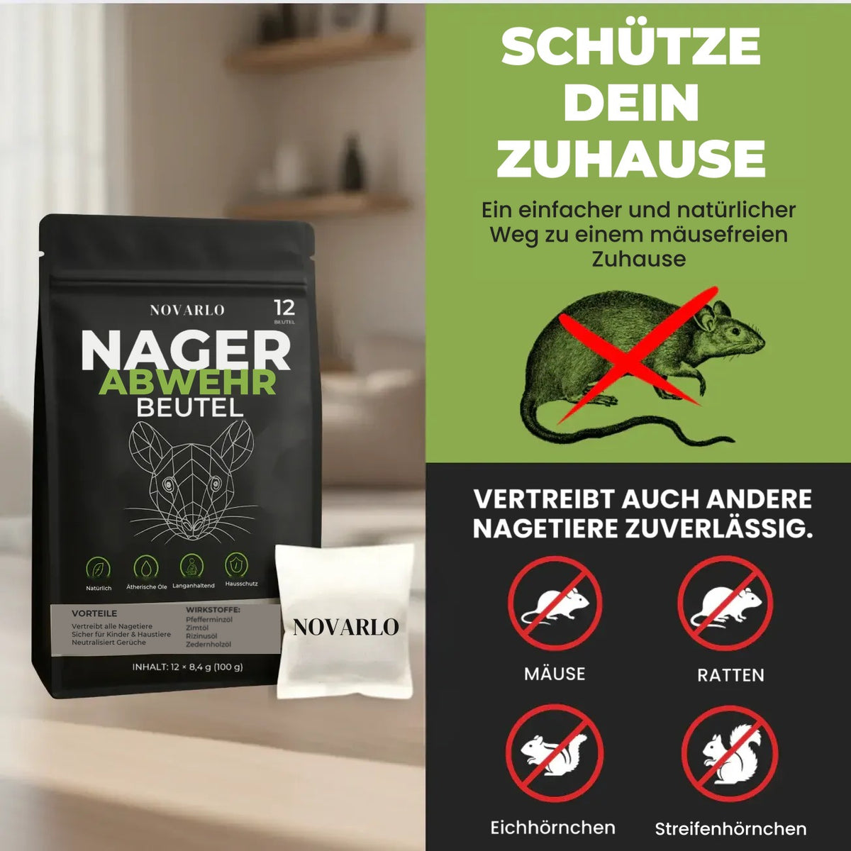 Schütze dein Zuhause vor Mäusen und Ratten